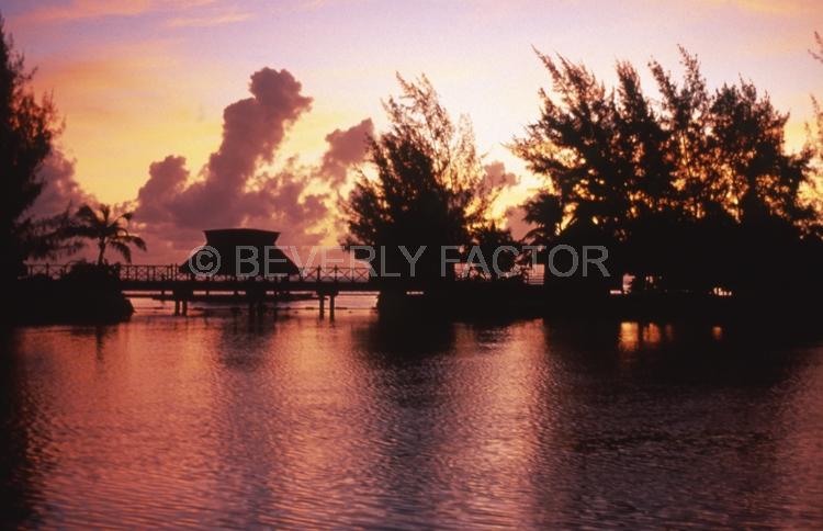 Island Sunsets;Moorea;Island;sunset;sky;clouds;yellow;water;red;palm trees;sillouettes;colorful